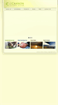 Mobile Screenshot of cannonpowergroup.com